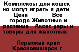 Комплексы для кошек, но могут играть и дети › Цена ­ 11 900 - Все города Животные и растения » Аксесcуары и товары для животных   . Пермский край,Красновишерск г.